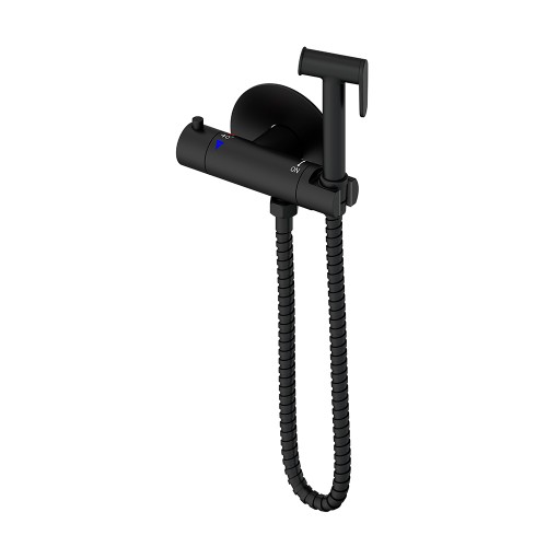 Термостатический смеситель для биде, матовый черный 4034